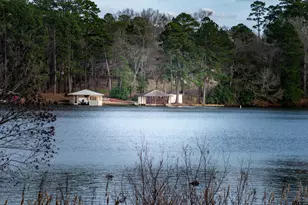 115 Raton Pass, Holly Lake Ranch, TX 75765 - Photo 43
