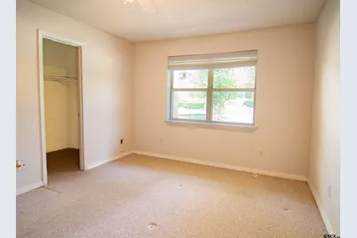 115 Raton Pass, Holly Lake Ranch, TX 75765 - Photo 25