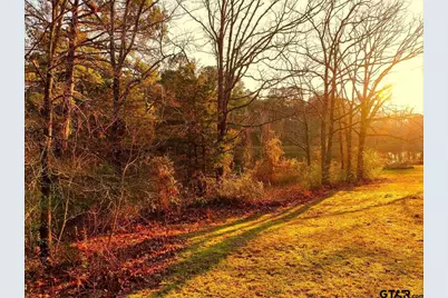 Lot 128, 144 County Road 2123, Quitman, TX 75783 - Photo 5