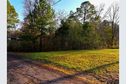 Lot 128, 144 County Road 2123, Quitman, TX 75783 - Photo 25