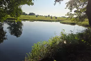6888 Farm To Market 2888, Naples, TX 75568 - Photo 21