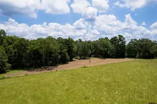 6888 Farm To Market 2888, Naples, TX 75568 - Photo 41