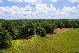 6888 Farm To Market 2888, Naples, TX 75568 - Photo 43