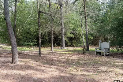 138 Green Knoll, Holly Lake Ranch, TX 75765 - Photo 25