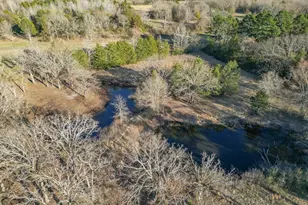1905 Co Rd 2720, Mineola, TX 75773 - Photo 21