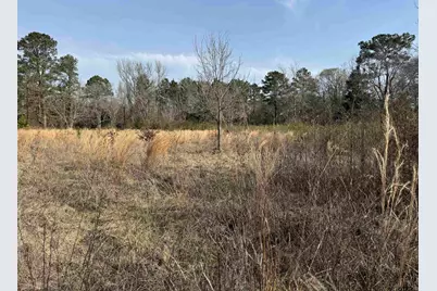 6860 County Road 1804, Jacksonville, TX 75766 - Photo 27