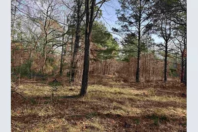 6860 County Road 1804, Jacksonville, TX 75766 - Photo 25