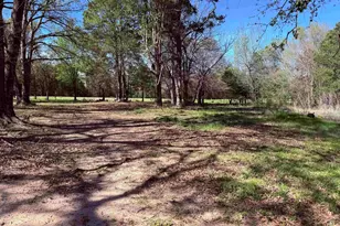 3842 N Hwy 37, Quitman, TX 75783 - Photo 1