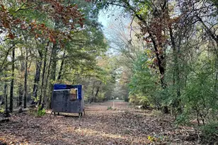 205 Co Rd 2880, Mineola, TX 75773 - Photo 29