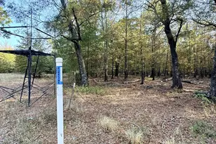 205 Co Rd 2880, Mineola, TX 75773 - Photo 25