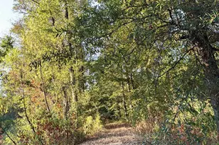 205 Co Rd 2880, Mineola, TX 75773 - Photo 33