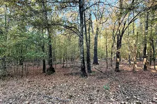205 Co Rd 2880, Mineola, TX 75773 - Photo 31