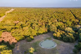 205 Co Rd 2880, Mineola, TX 75773 - Photo 11
