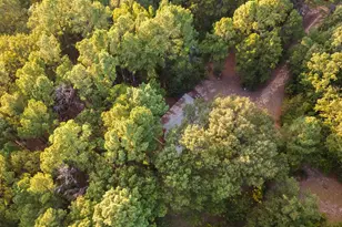 205 Co Rd 2880, Mineola, TX 75773 - Photo 13