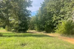 205 Co Rd 2880, Mineola, TX 75773 - Photo 9