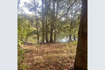 205 County Road 2880, Mineola, TX 75773 - Photo 1