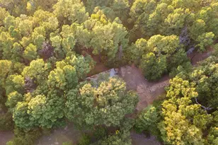 205 Co Rd 2880, Mineola, TX 75773 - Photo 25