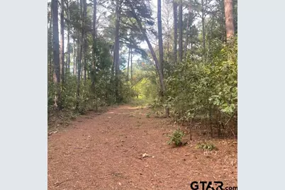 205 County Road 2880, Mineola, TX 75773 - Photo 21