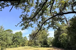 205 Co Rd 2880, Mineola, TX 75773 - Photo 33