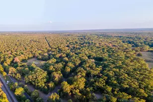 205 Co Rd 2880, Mineola, TX 75773 - Photo 31