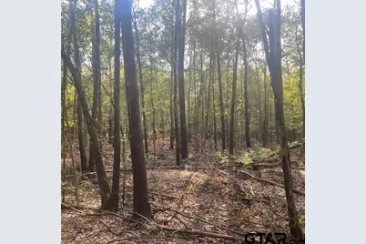 205 County Road 2880, Mineola, TX 75773 - Photo 11