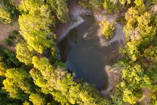 205 Co Rd 2880, Mineola, TX 75773 - Photo 23