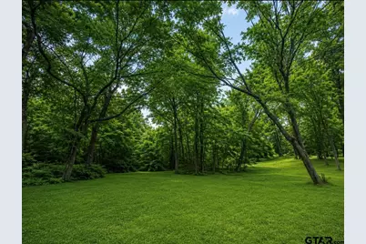 Tbd County Road 4510, Winnsboro, TX 75494 - Photo 3