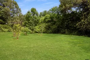 8350 Fm 346 W, Flint, TX 75762 - Photo 43