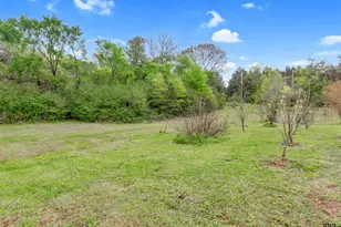 8350 Fm 346 W, Flint, TX 75762 - Photo 47