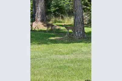 782 An County Road 325, Frankston, TX 75763 - Photo 41