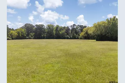 Tbd Cr 1513, Jacksonville, TX 75766 - Photo 3