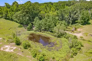 12250 Co Rd 3513, Brownsboro, TX 75756 - Photo 37