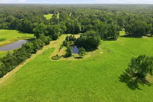 16376 Hwy 11, Winnsboro, TX 75494 - Photo 35