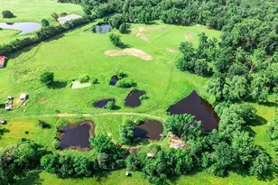 16376 Hwy 11, Winnsboro, TX 75494 - Photo 19