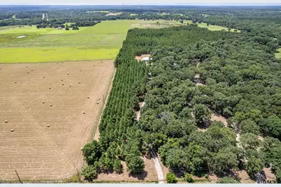 25325 County Road 462, Mineola, TX 75773 - Photo 11