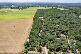 25325 County Road 462, Mineola, TX 75773 - Photo 11