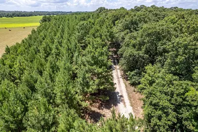 25325 County Road 462, Mineola, TX 75773 - Photo 5