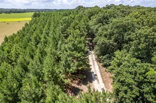25325 County Road 462, Mineola, TX 75773 - Photo 5