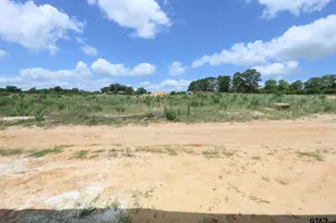 15165 Coop Ln, Tyler, TX 75703 - Photo 17