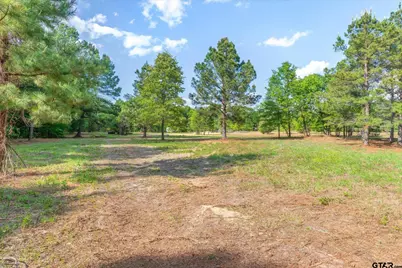 00 Hwy 69, Alba, TX 75410 - Photo 3