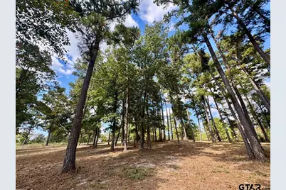 Lot 17 Cr 3545, Hawkins, TX 75765 - Photo 5