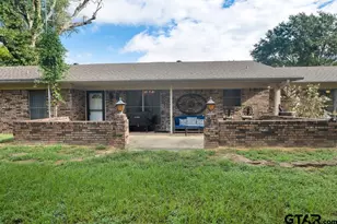 16659 C R 223, Arp, TX 75750 - Photo 19
