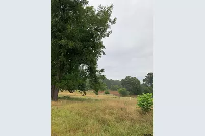 502 County Road 3264, Quitman, TX 75783 - Photo 11