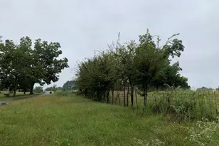 502 Co Rd 3264, Quitman, TX 75783 - Photo 43