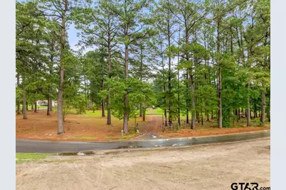 541 Cr 2745 (Tbd), Mineola, TX 75773 - Photo 3