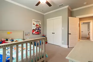 226 Sunnys Halo Blvd, Bullard, TX 75757 - Photo 21