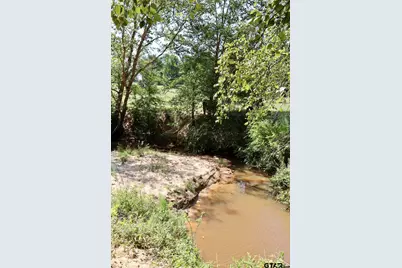 Tbd Cr 246, Arp, TX 75750 - Photo 47
