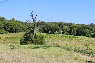 Tbd Cr 246, Arp, TX 75750 - Photo 29