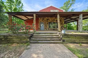1001 Fm 1254, Mineola, TX 75773 - Photo 3