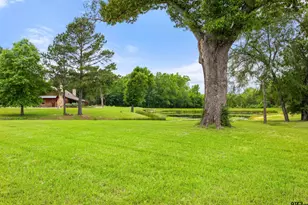 20108 Cr 452, Mineola, TX 75773 - Photo 35